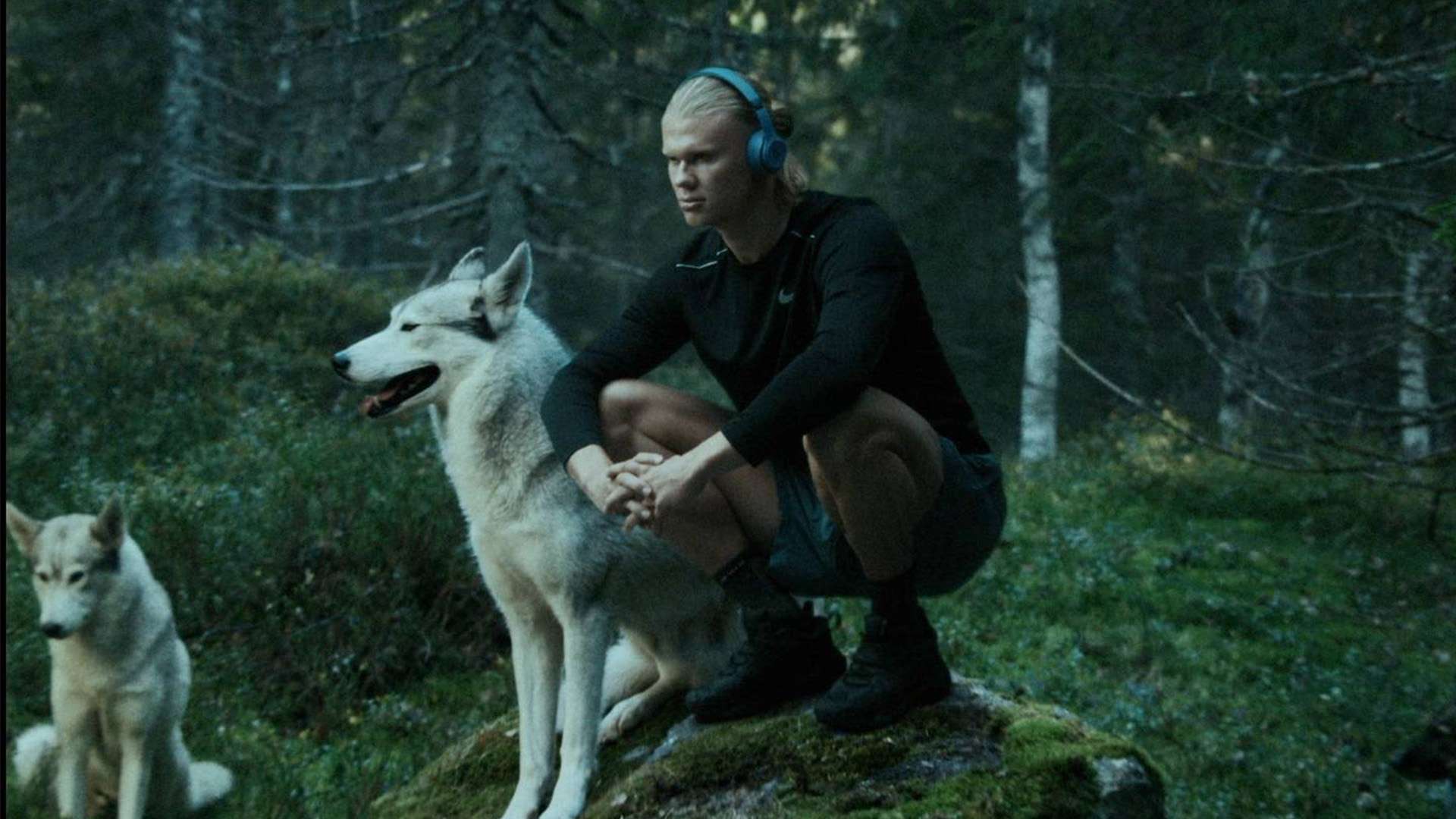 的前提下 的前提下